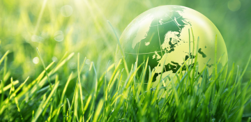 Investissement écologique - Investir dans le durable et le vert